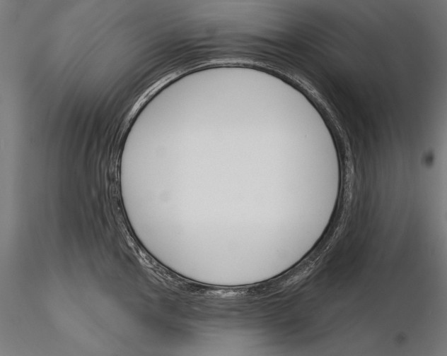 X0000115231145200912111024