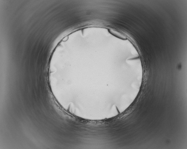 X0000115231146200912111024