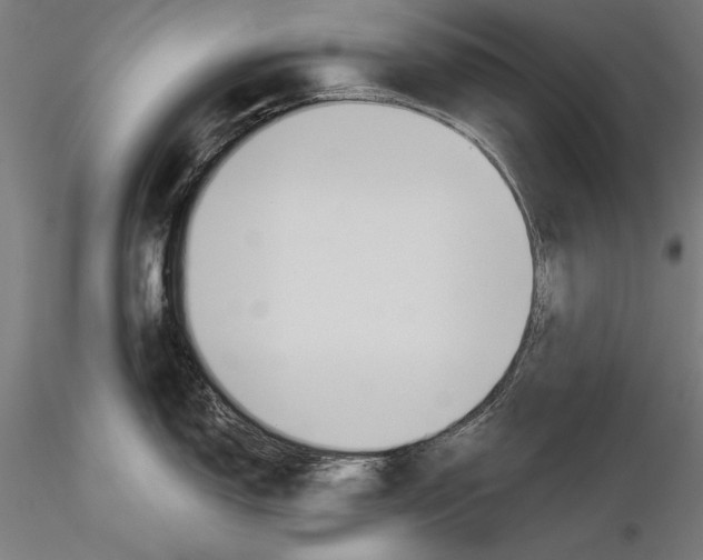 X0000115231150200912111024