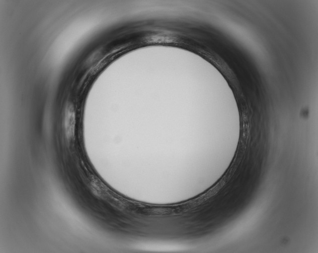 X0000115231151200912111024