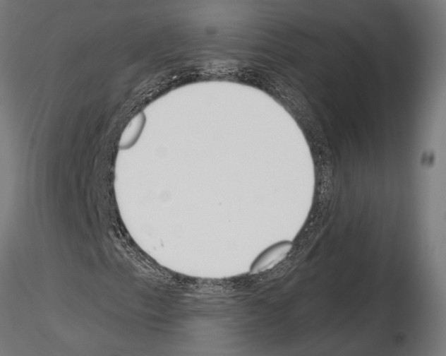 X0000115231153200912111023