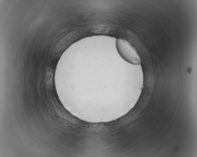 X0000115231154200912111023