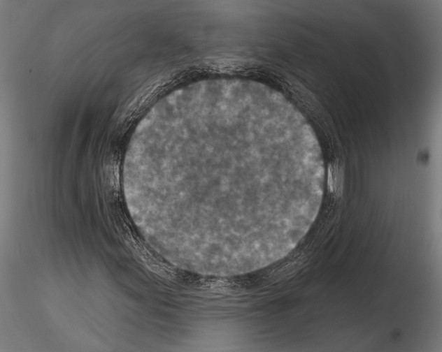 X0000115231155200912111023