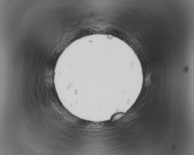 X0000115231156200912111023