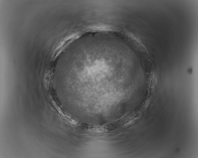 X0000115231157200912111023