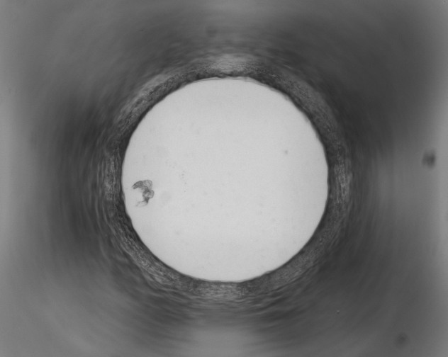 X0000115231158200912111023