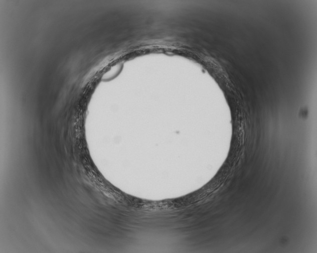 X0000115231159200912111023