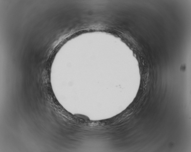 X0000115231160200912111023