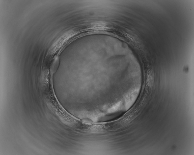 X0000115231161200912111023