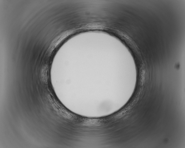 X0000115231162200912111023