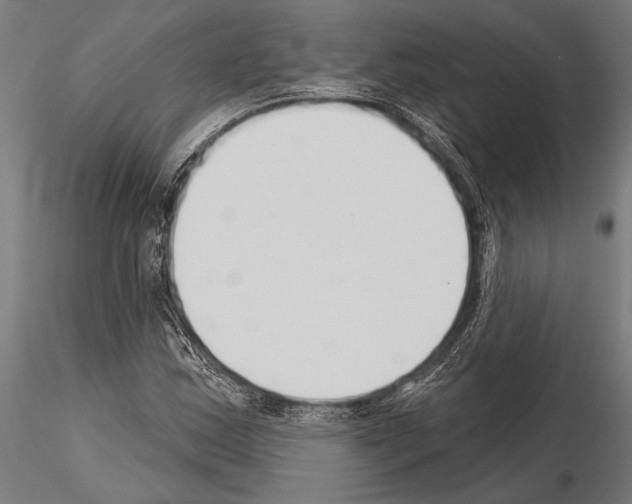 X0000115231163200912111023