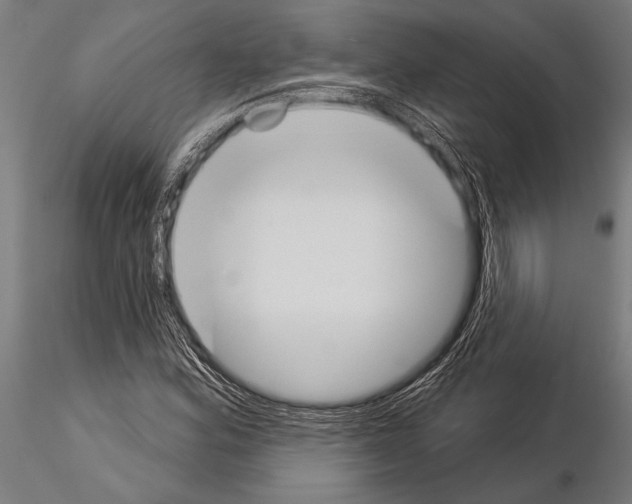 X0000115231164200912111023