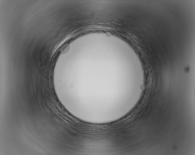 X0000115231165200912111023