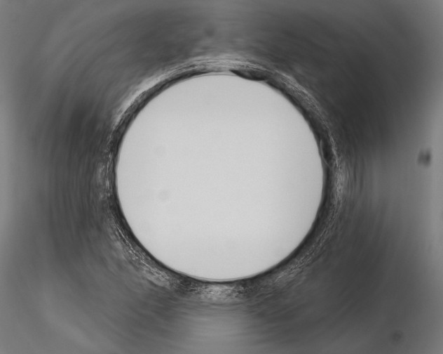 X0000115231166200912111023