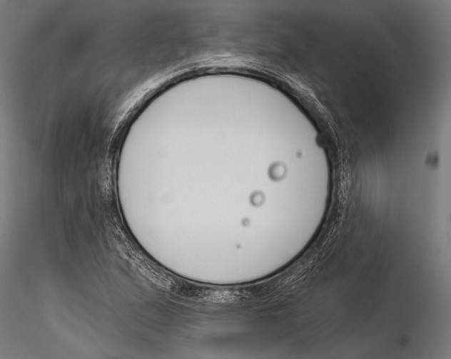 X0000115231167200912111023