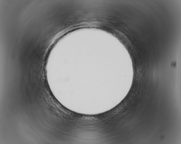 X0000115231168200912111023