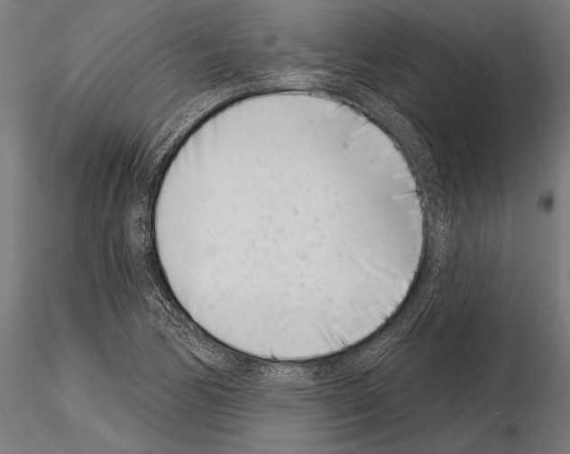 X0000115231170200912111023