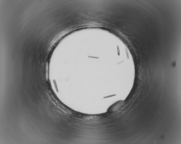 X0000115231171200912111023