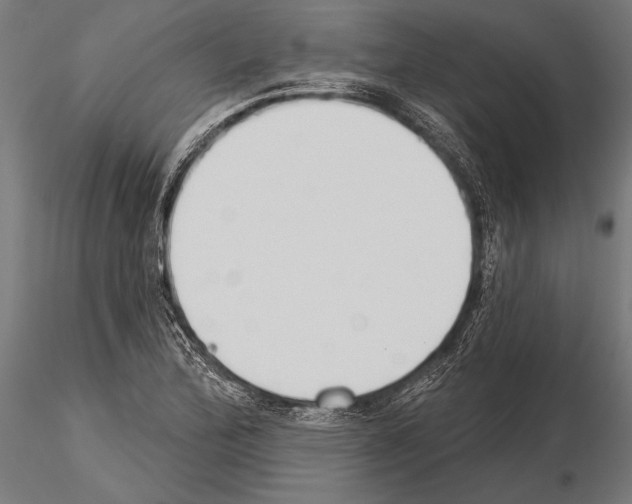 X0000115231172200912111023