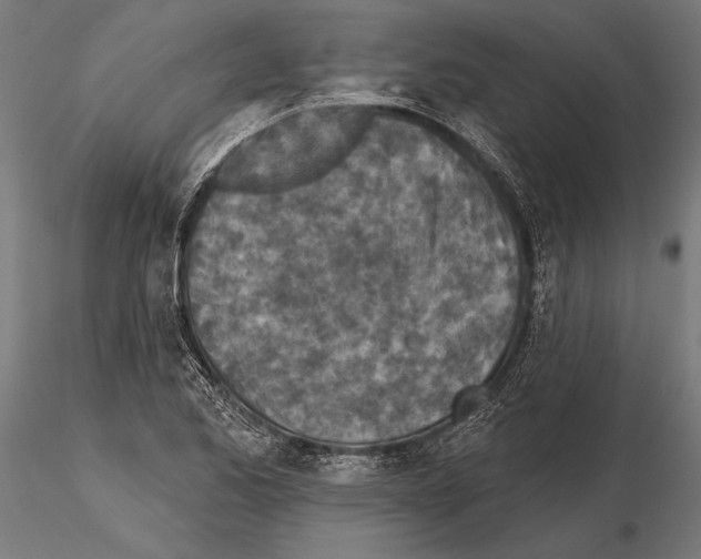 X0000115231173200912111023