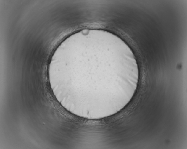 X0000115231174200912111023