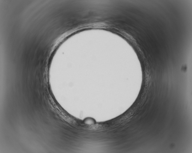 X0000115231176200912111023