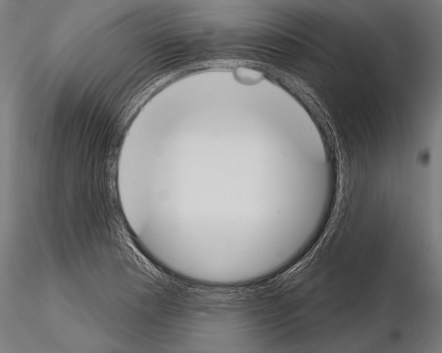 X0000115231177200912111023