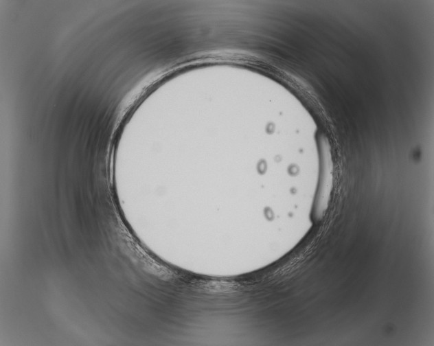 X0000115231180200912111023