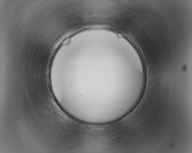 X0000115231181200912111023