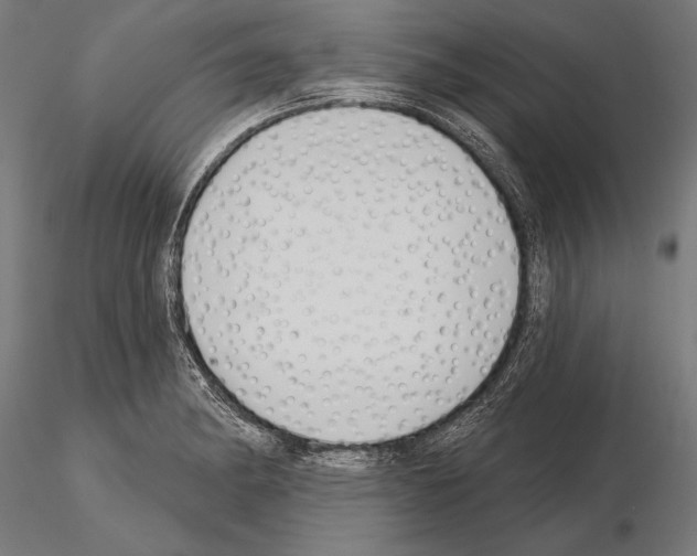 X0000115231182200912111023