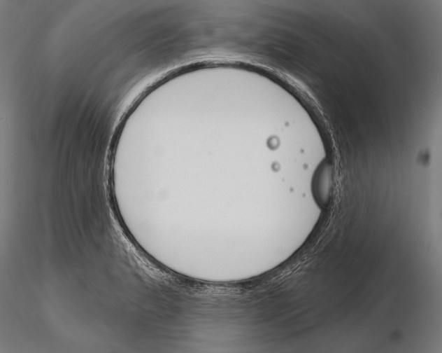 X0000115231183200912111023