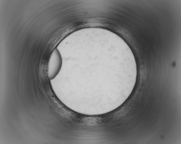 X0000115231185200912111023