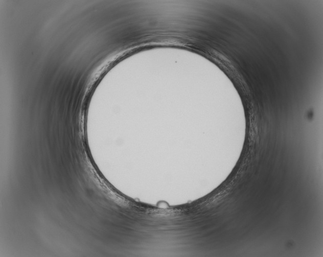 X0000115231188200912111023