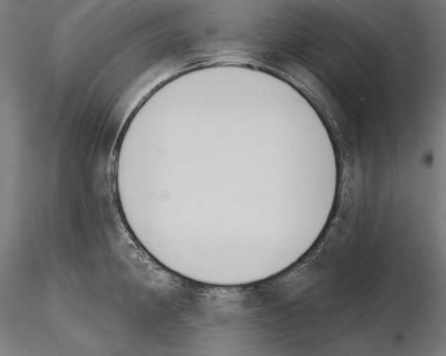 X0000115231190200912111023