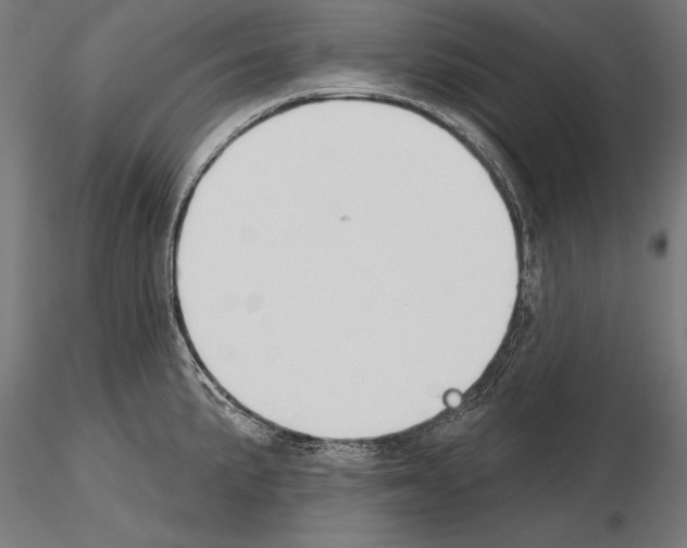 X0000115231191200912111023