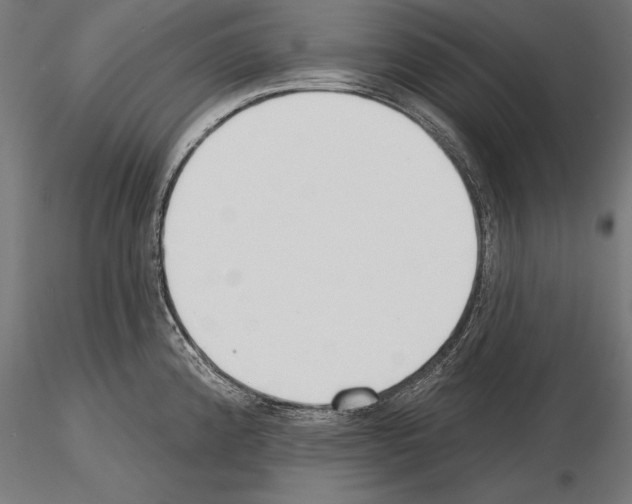 X0000115231192200912111023