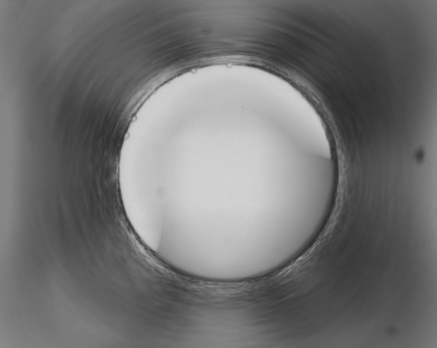 X0000115231193200912111023