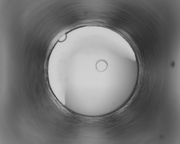 X0000115231196200912111023