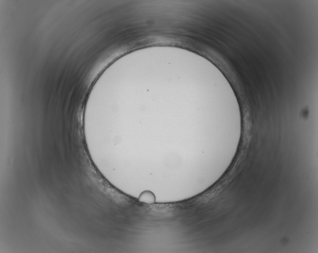 X0000115231198200912111023