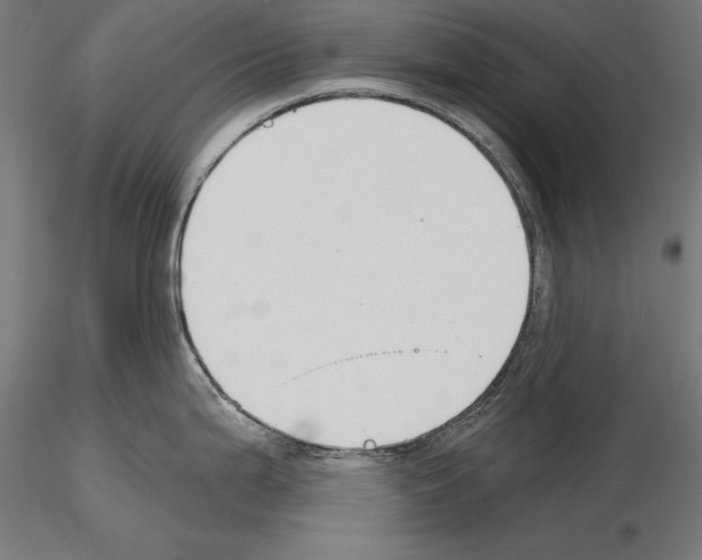 X0000115231199200912111023