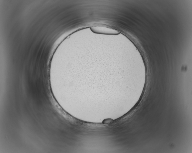 X0000115231200200912111023