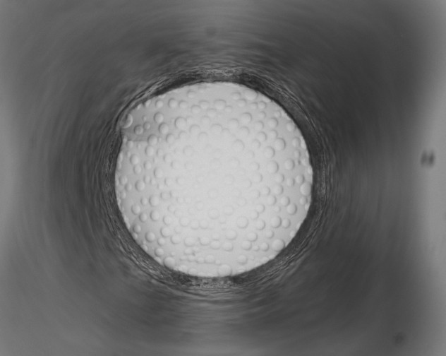 X0000115231201200912111022