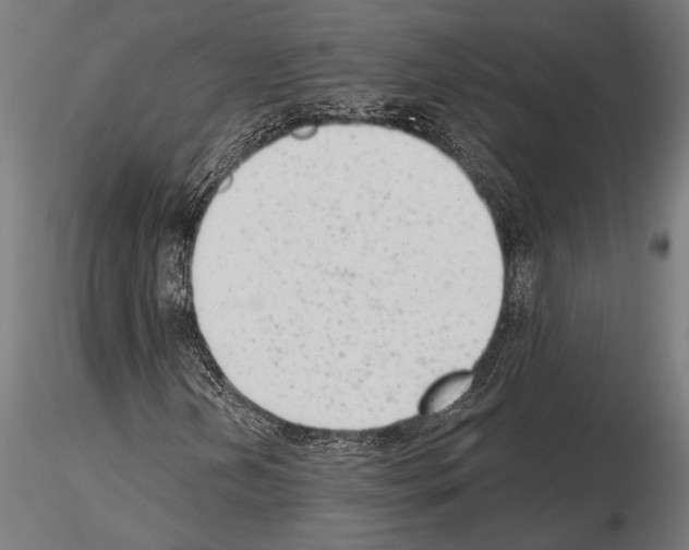 X0000115231202200912111022