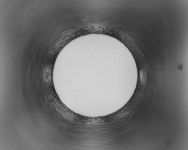 X0000115231203200912111022