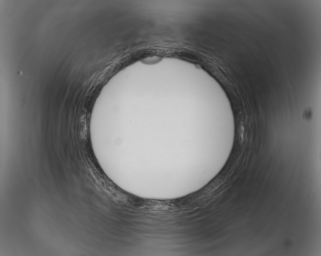 X0000115231204200912111022