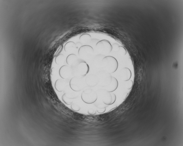 X0000115231205200912111022