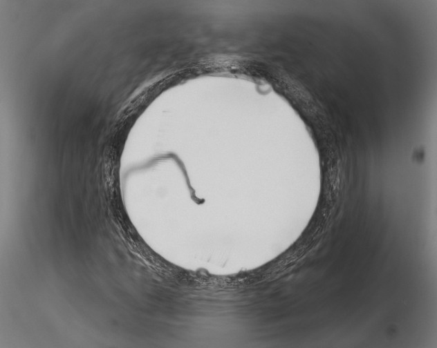 X0000115231206200912111022