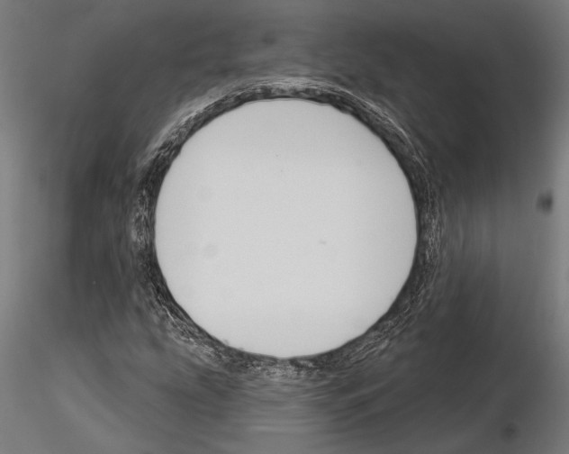 X0000115231207200912111022