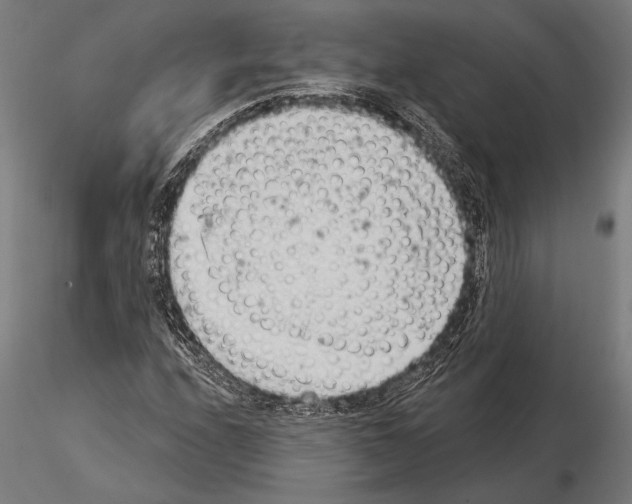 X0000115231208200912111022