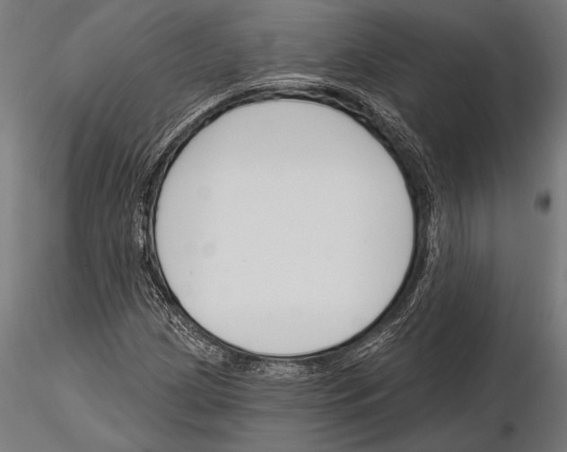 X0000115231209200912111022